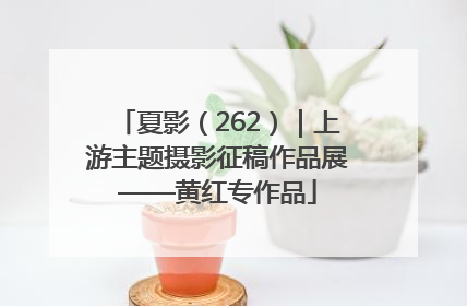 夏影（262）｜上游主题摄影征稿作品展——黄红专作品
