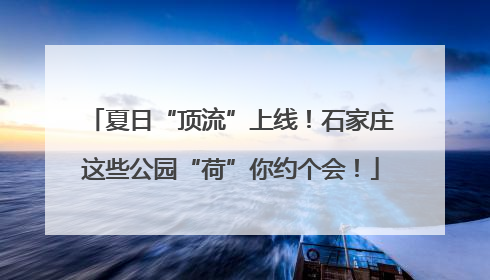 夏日“顶流”上线！石家庄这些公园“荷”你约个会！
