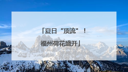 夏日“顶流”！福州荷花盛开