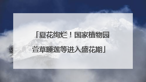 夏花绚烂！国家植物园萱草睡莲等进入盛花期