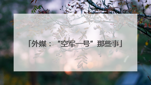 外媒：“空军一号”那些事
