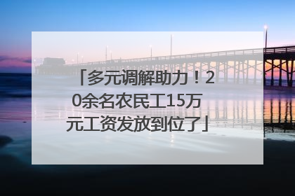 多元调解助力！20余名农民工15万元工资发放到位了