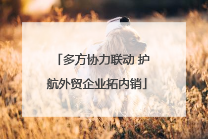 多方协力联动 护航外贸企业拓内销