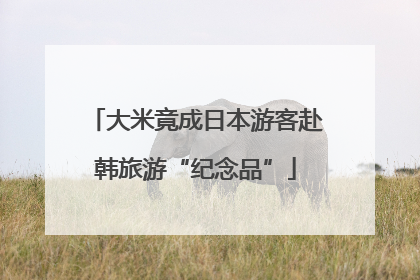 大米竟成日本游客赴韩旅游“纪念品”