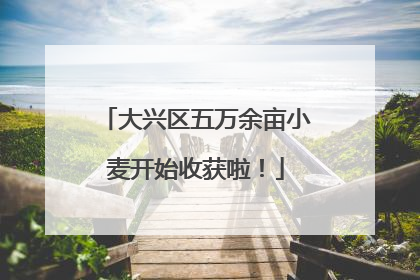 大兴区五万余亩小麦开始收获啦！