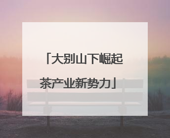 大别山下崛起茶产业新势力