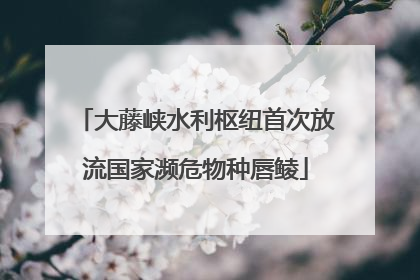 大藤峡水利枢纽首次放流国家濒危物种唇鲮