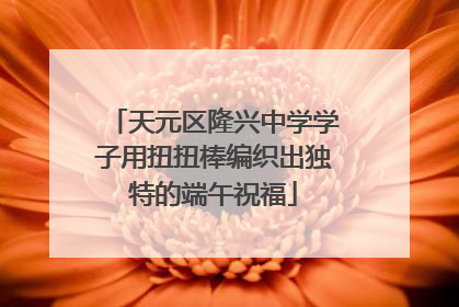 天元区隆兴中学学子用扭扭棒编织出独特的端午祝福