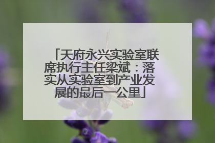 天府永兴实验室联席执行主任梁斌：落实从实验室到产业发展的最后一公里