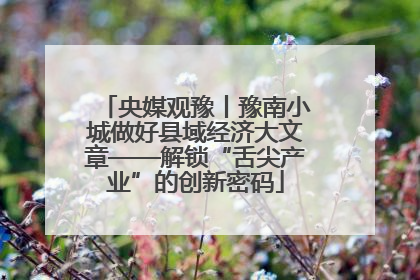 央媒观豫丨豫南小城做好县域经济大文章——解锁“舌尖产业”的创新密码