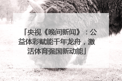 央视《晚间新闻》：公益体彩赋能千年龙舟，激活体育强国新动能