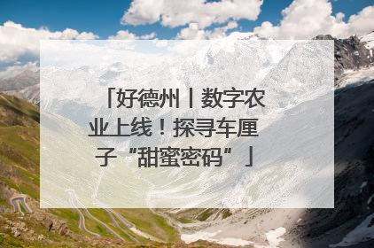 好德州丨数字农业上线！探寻车厘子“甜蜜密码”