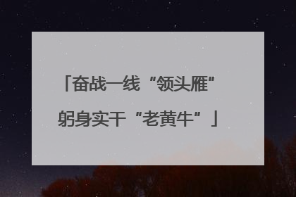 奋战一线“领头雁” 躬身实干“老黄牛”