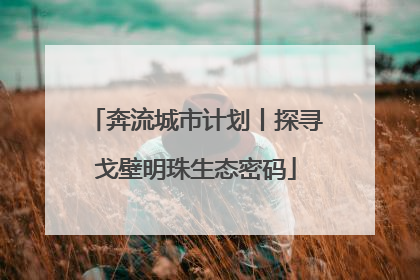 奔流城市计划丨探寻戈壁明珠生态密码