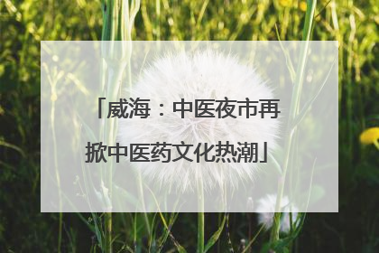 威海：中医夜市再掀中医药文化热潮
