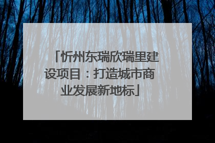 忻州东瑞欣瑞里建设项目：打造城市商业发展新地标