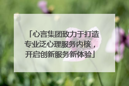 心言集团致力于打造专业泛心理服务内核，开启创新服务新体验