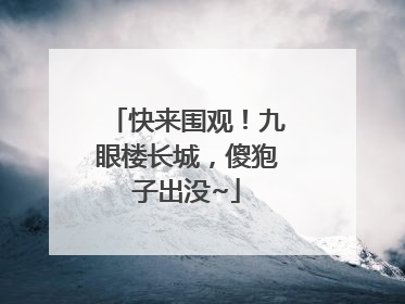 快来围观！九眼楼长城，傻狍子出没~