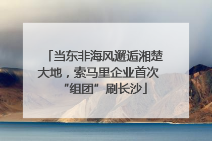 当东非海风邂逅湘楚大地，索马里企业首次“组团”刷长沙
