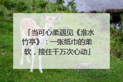 当可心柔遇见《淮水竹亭》：一张纸巾的柔软，接住千万次心动