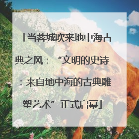当蓉城吹来地中海古典之风：“文明的史诗：来自地中海的古典雕塑艺术”正式启幕