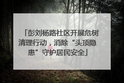 彭刘杨路社区开展危树清理行动，消除“头顶隐患”守护居民安全