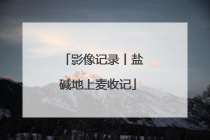 影像记录丨盐碱地上麦收记