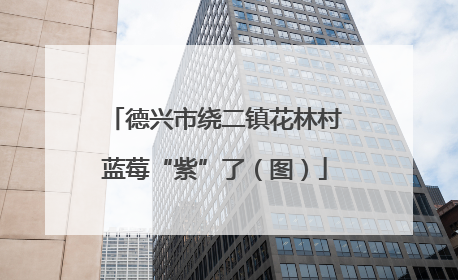 德兴市绕二镇花林村蓝莓“紫”了（图）