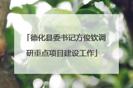 德化县委书记方俊钦调研重点项目建设工作