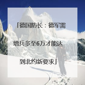 德国防长：德军需增兵多至6万才能达到北约新要求