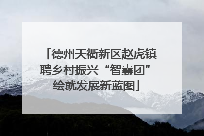 德州天衢新区赵虎镇聘乡村振兴“智囊团” 绘就发展新蓝图