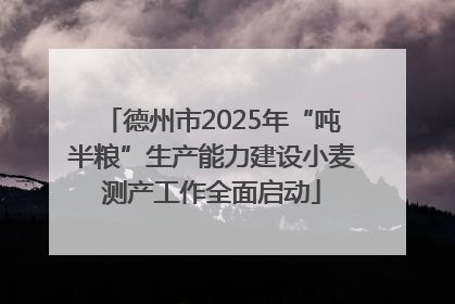 德州市2025年“吨半粮”生产能力建设小麦测产工作全面启动