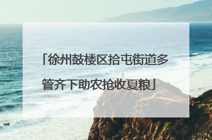 徐州鼓楼区拾屯街道多管齐下助农抢收夏粮