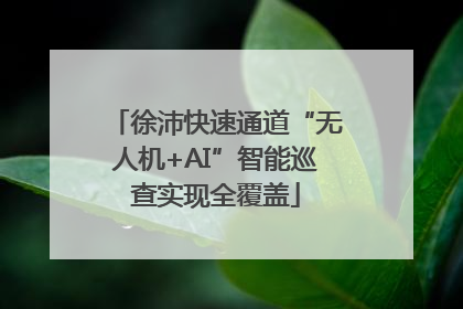 徐沛快速通道“无人机+AI”智能巡查实现全覆盖