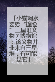 小猫喝水姿势“撞脸”三星堆文物？博物馆：该文物并非来自三星堆，有可能是它
