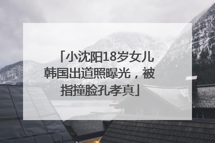 小沈阳18岁女儿韩国出道照曝光，被指撞脸孔孝真