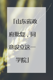 山东省政府批复，同意设立这一学院