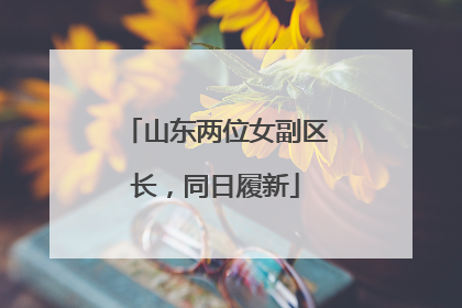 山东两位女副区长，同日履新