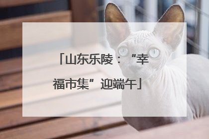 山东乐陵：“幸福市集”迎端午