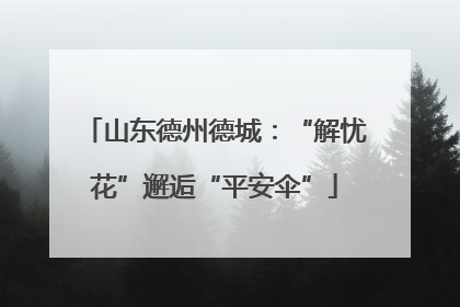 山东德州德城：“解忧花”邂逅“平安伞”