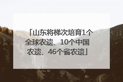 山东将梯次培育1个全球农遗、10个中国农遗、46个省农遗