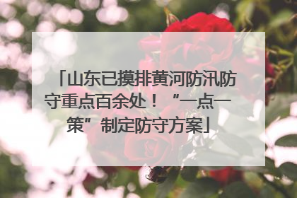山东已摸排黄河防汛防守重点百余处！“一点一策”制定防守方案