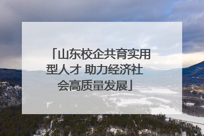 山东校企共育实用型人才 助力经济社会高质量发展