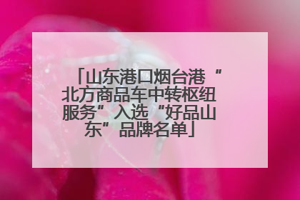 山东港口烟台港“北方商品车中转枢纽服务”入选“好品山东”品牌名单