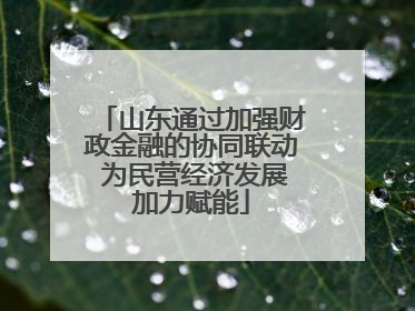 山东通过加强财政金融的协同联动 为民营经济发展加力赋能