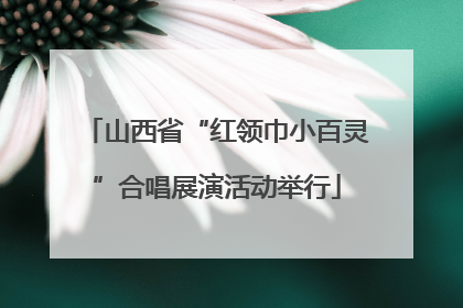 山西省“红领巾小百灵”合唱展演活动举行