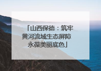 山西保德：筑牢黄河流域生态屏障 永葆美丽底色