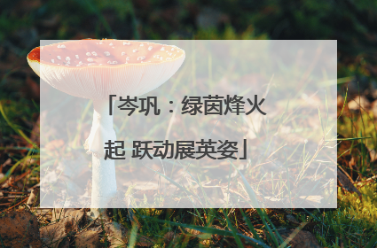 岑巩：绿茵烽火起 跃动展英姿