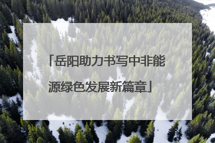 岳阳助力书写中非能源绿色发展新篇章