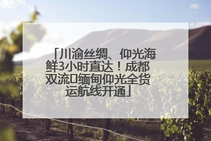 川渝丝绸、仰光海鲜3小时直达！成都双流⇌缅甸仰光全货运航线开通